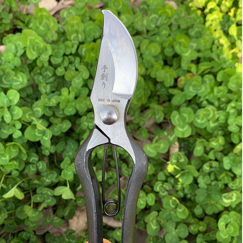 花小白新品日本本手修枝剪御剪定原装进口家用果树剪刀