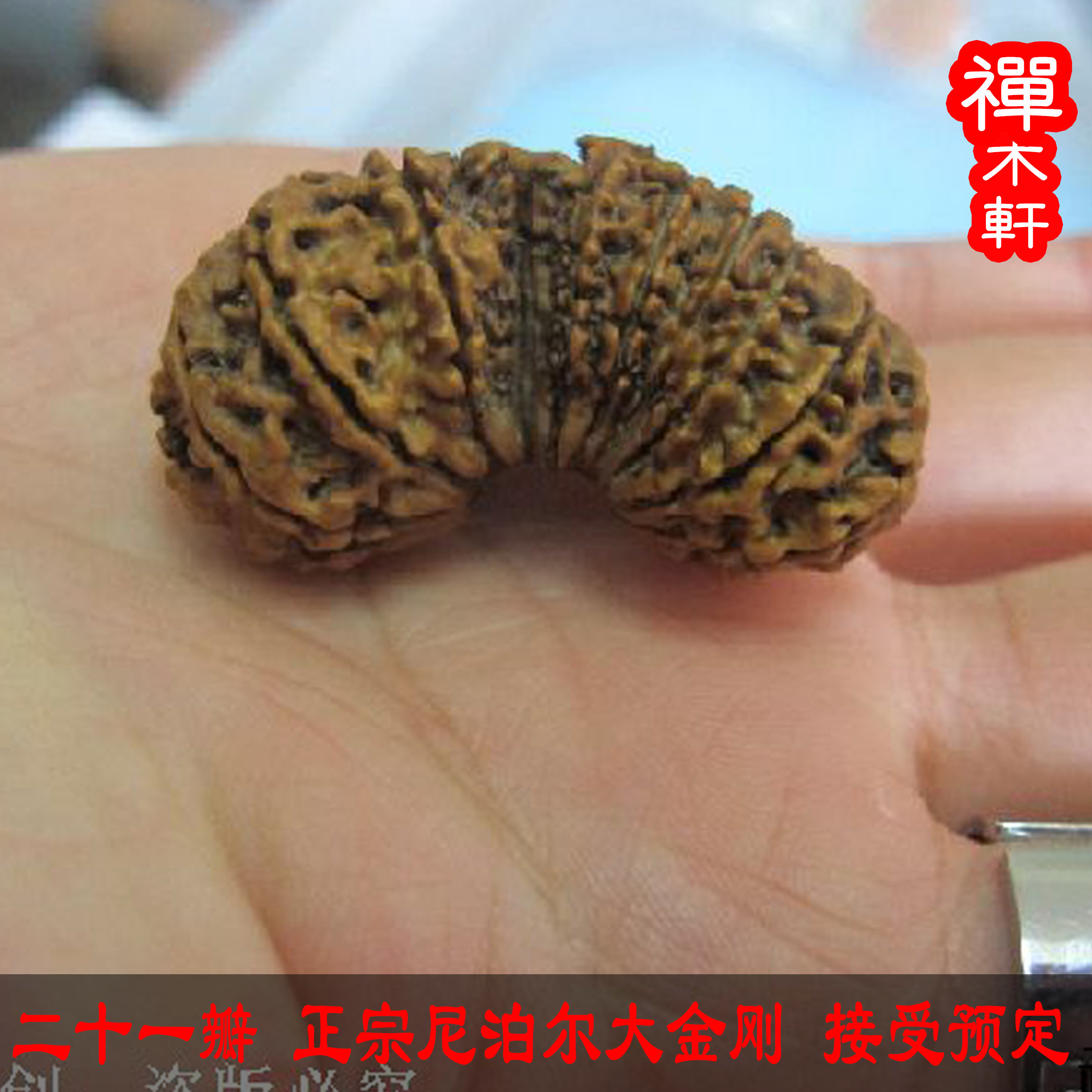 尼泊尔多瓣十五16瓣21瓣稀有大金刚菩提提子单颗散佛珠