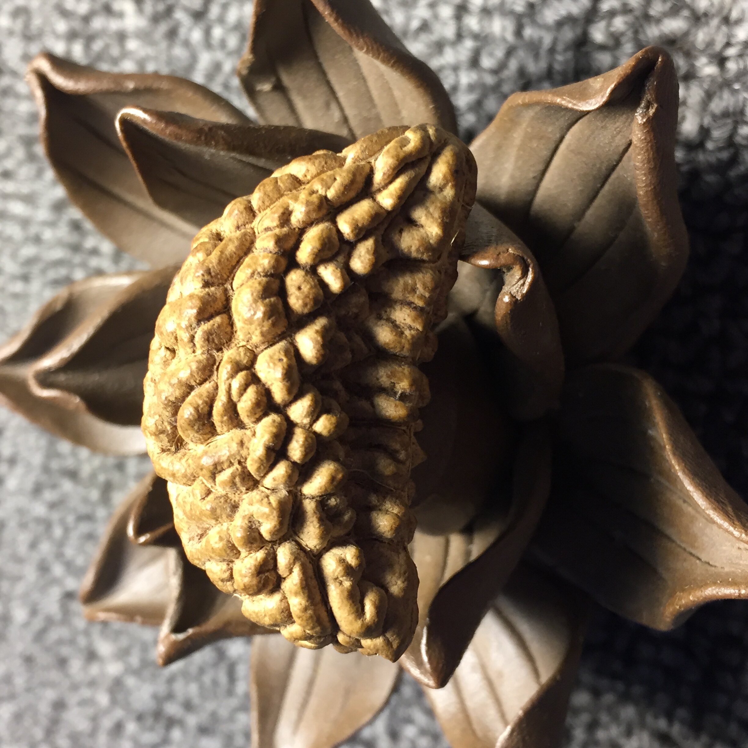 1瓣一瓣大金刚菩提提子精挑爆肉印尼配饰手串佛珠