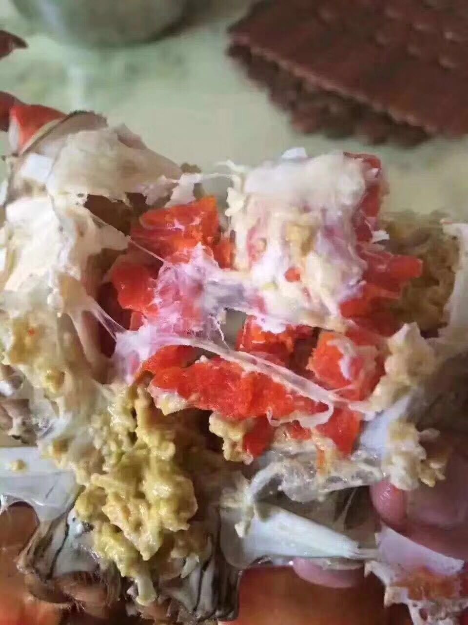 活寄膏蟹红鲟纯天然海捕大青蟹母蟹海蟹红膏母蟹鲜活水产
