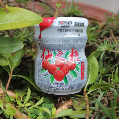 24瓶装杨梅酒仙之梅仙居明泉酒酒低度果酒功效与作用/价格/好不好