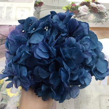 Goddess Day immortal flower A-grade medium large leaf hydrangea diy violent bear material package glass cover gift box key car hanging