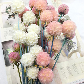 ວັນ Valentine's immortal flower pineworm fruit pineworm flower windmill fruit diy material handmade car gift box with flower material