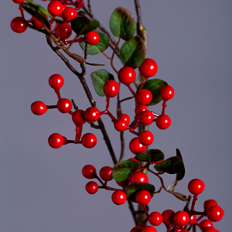 发财幸运果客厅浆果仿真花红果子冬青相思豆红色仿真花