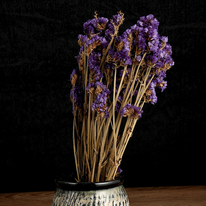 干花勿忘我天然白色田园自然自然家家居摆设艺术干花