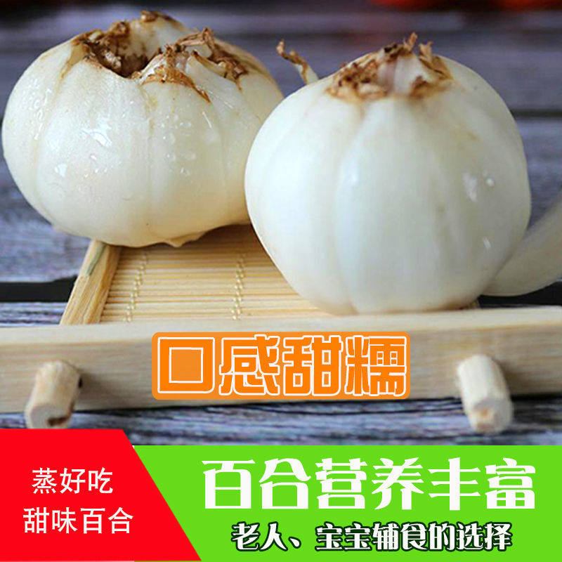 百合兰州特产新鲜四头头小蔬菜人参真空500克新鲜百合
