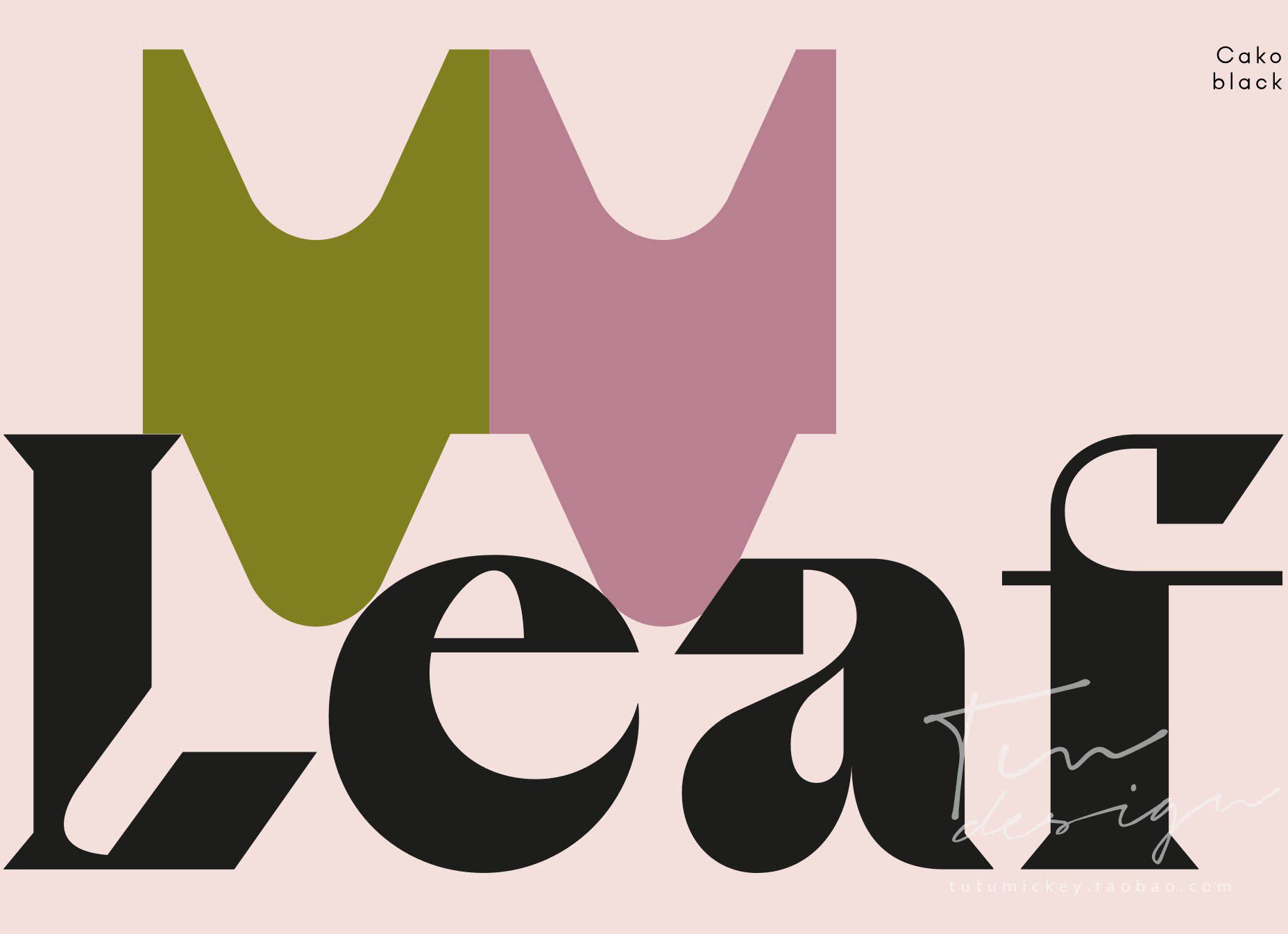 10套潮流俏皮优雅逆反反差酸性杂志标题logo样图