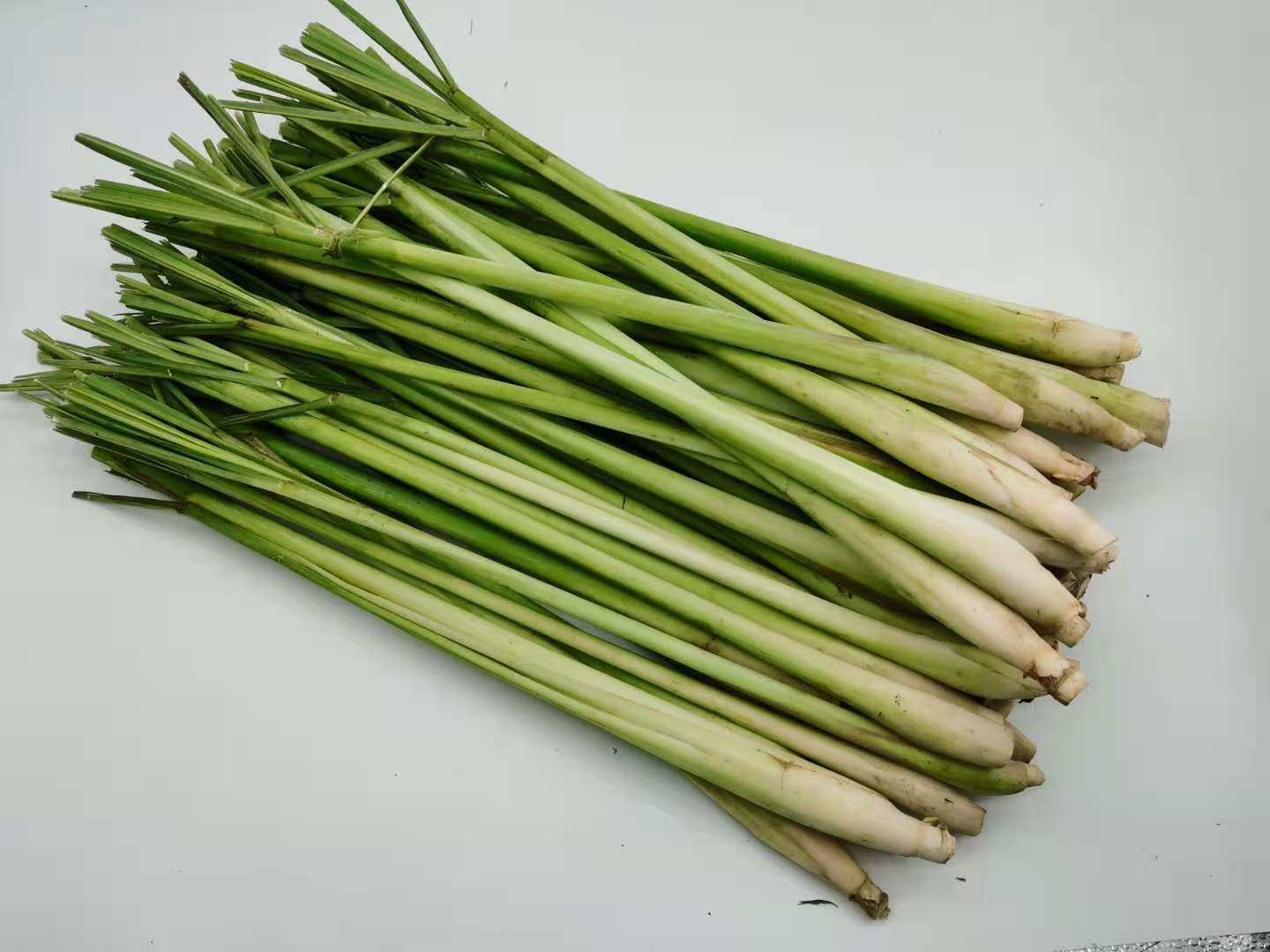 新鲜香茅柠檬茅草lemongrass冬阴功汤泰式料理其它