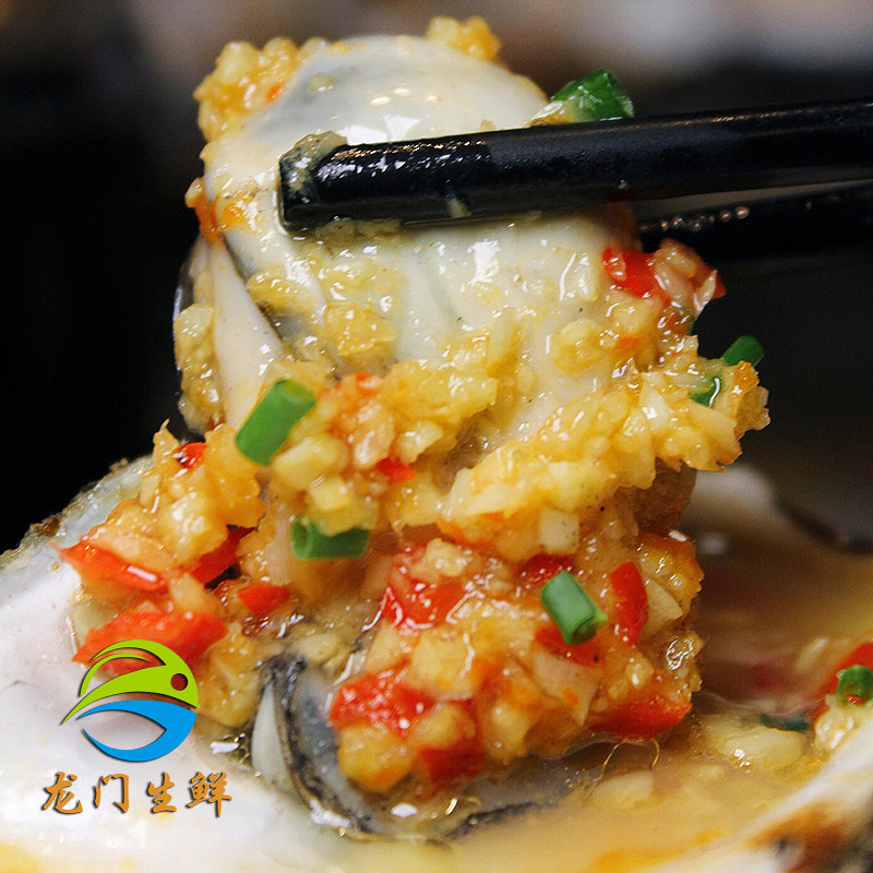 1个鲜活带子海鲜水产贝类澳带扇贝超大绿贝扇贝柱