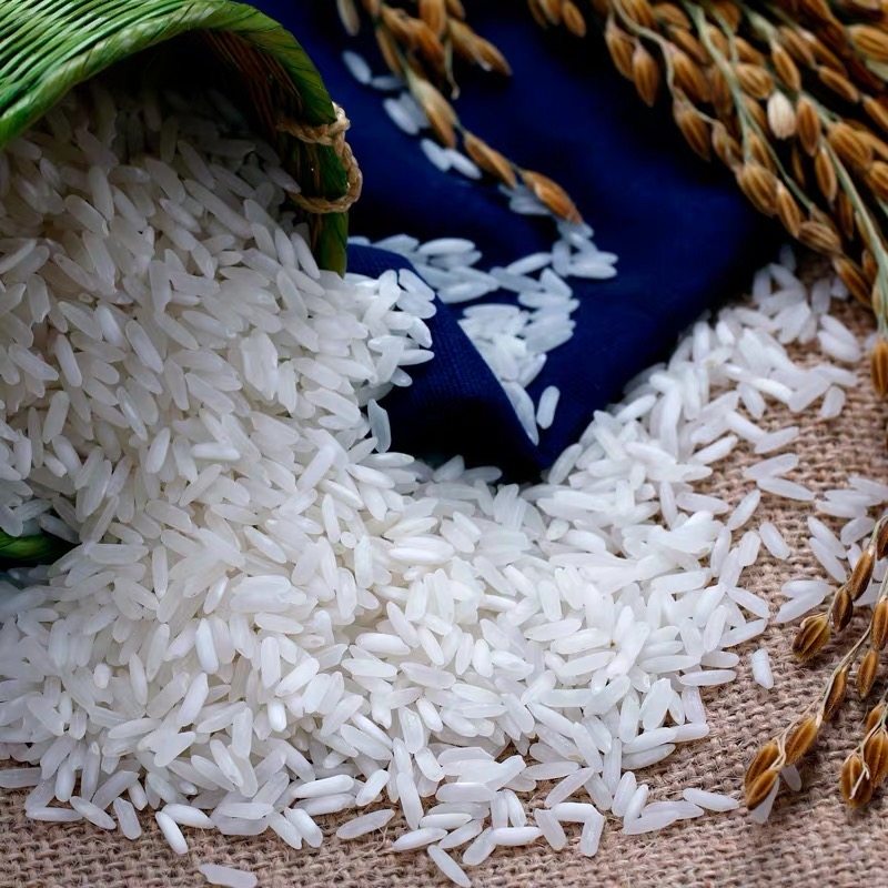 2020新米遮放贡米5斤毫贡云南大米25kg香米大米