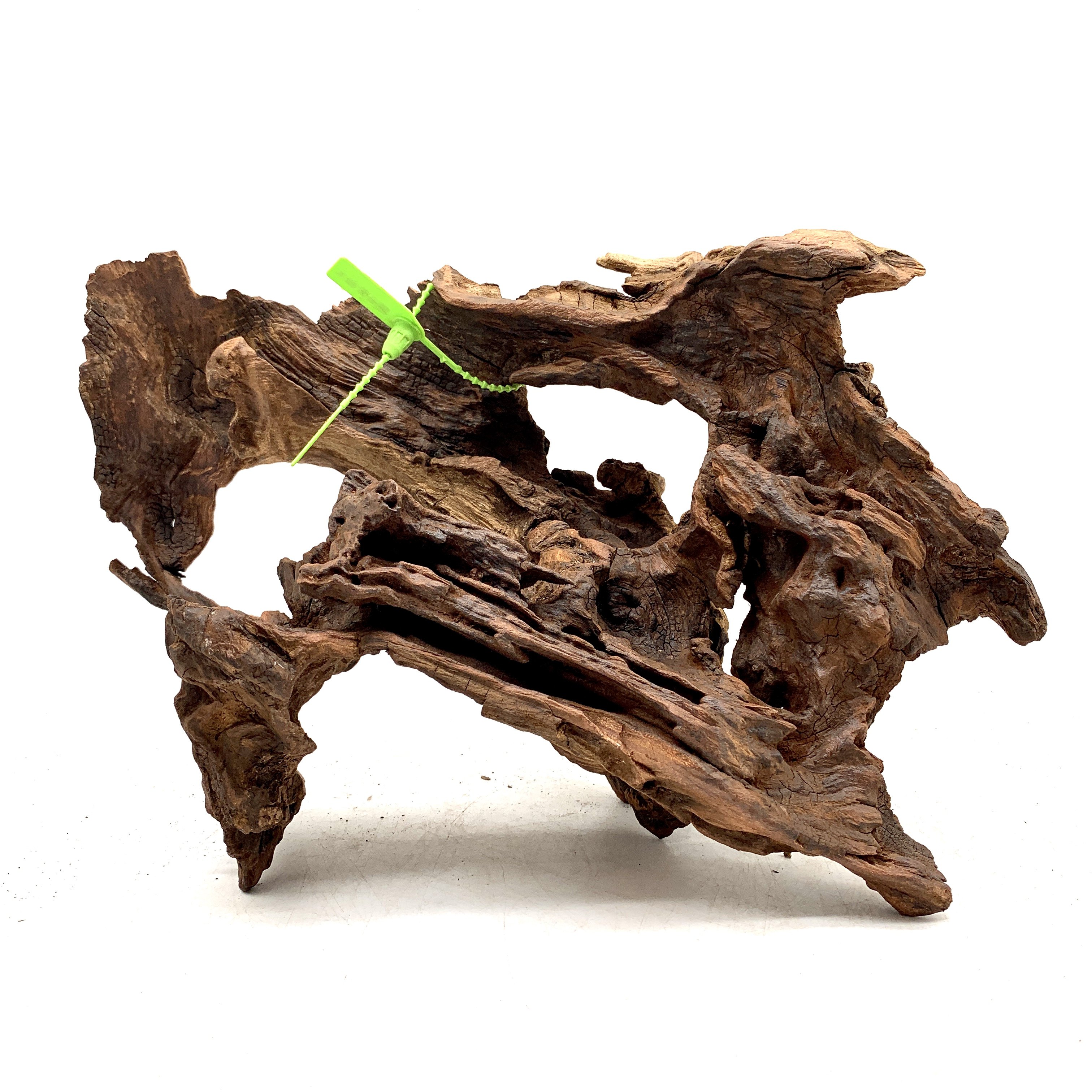 晒台直播选沉木造造景乌龟寄居躲避沉木小号造景