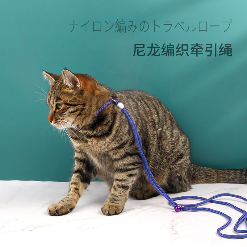 猫咪牵引绳外出溜猫防挣脱幼猫专用绳套脖式狗牵引绳