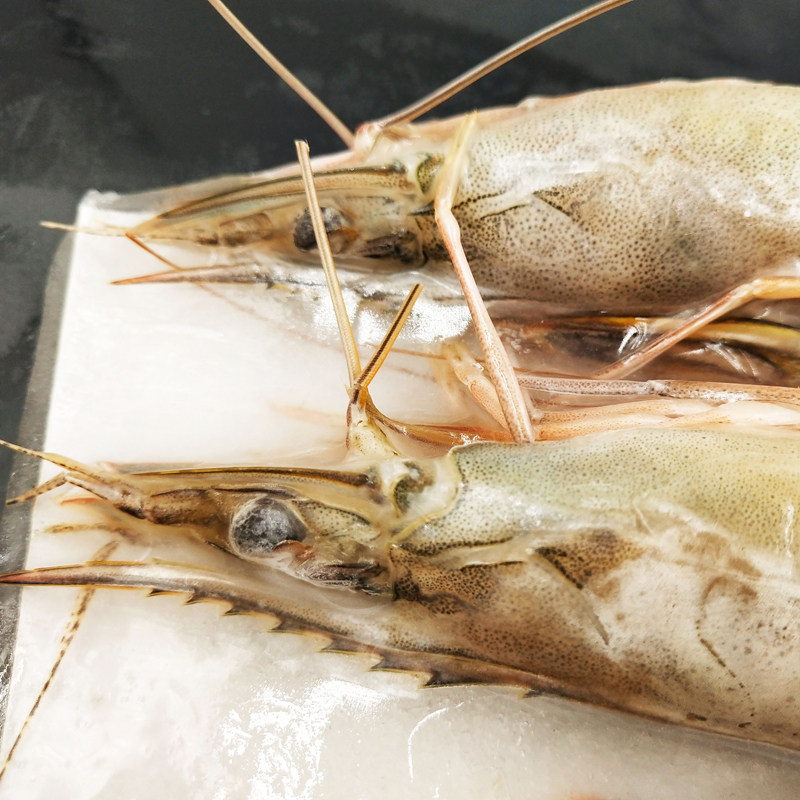 野生海对虾大海海虾丹东黄海对儿虾船冻活海鲜冻虾