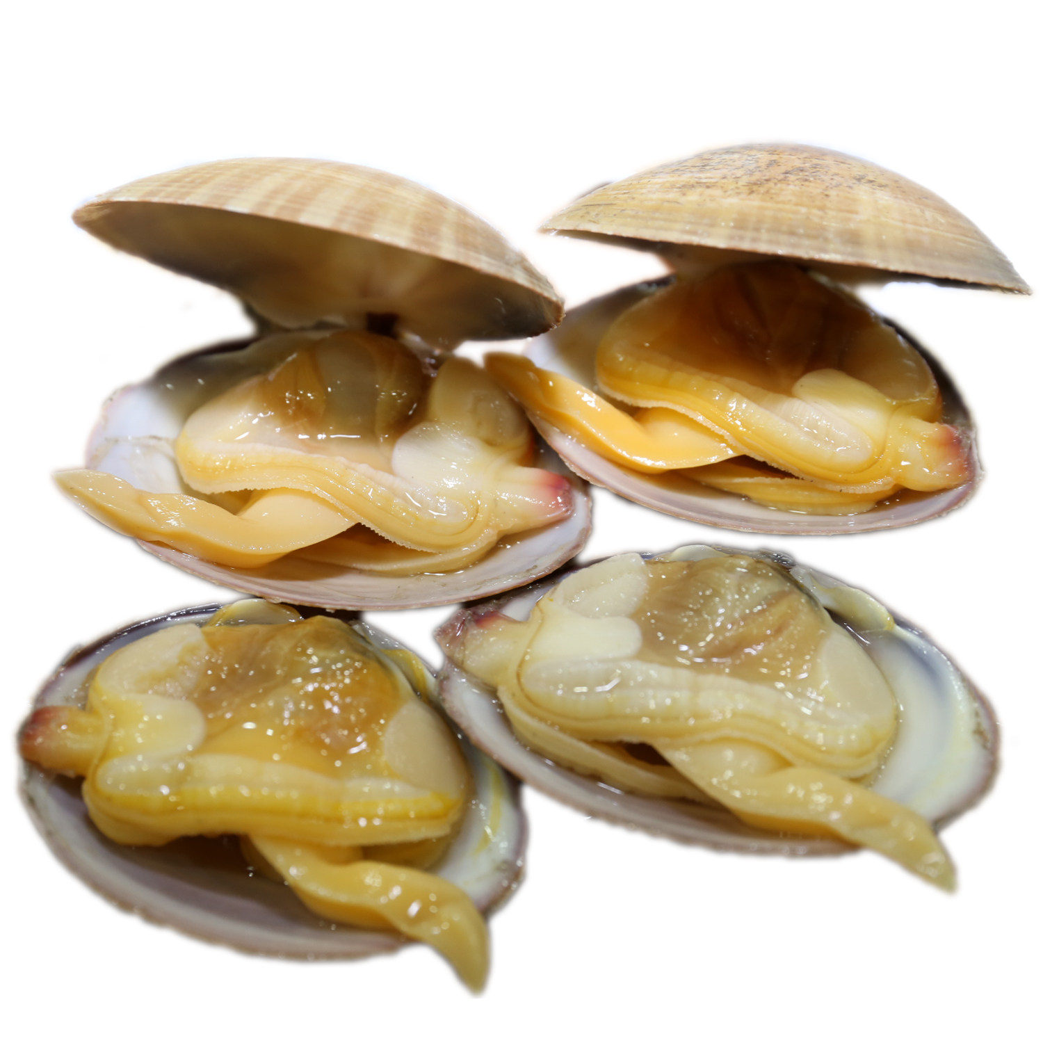 开袋即食大黄蚬子熟食海鲜冰鲜真空原汁蛤蜊白蚬子花蛤贝丹东海鲜