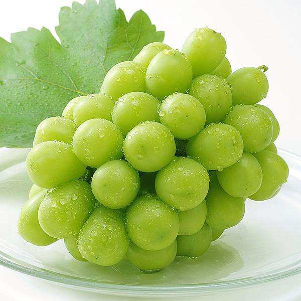 新鲜晴王阳光青提750g一包超甜提子无籽葡萄