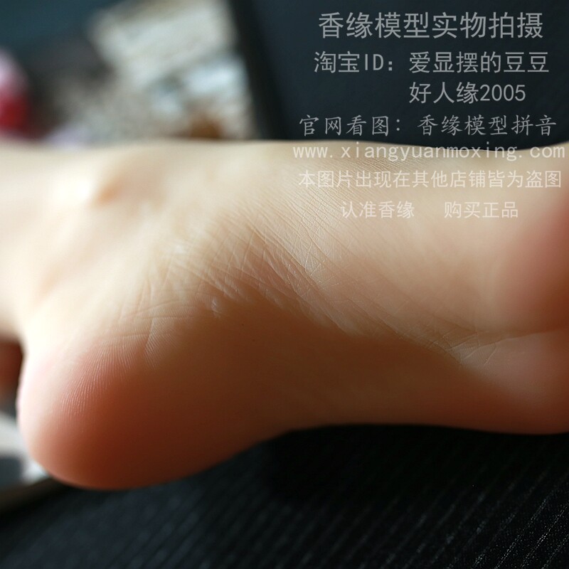 香缘模型脚趾定位仿真足模用品爱美丝袜脚模服装展示架