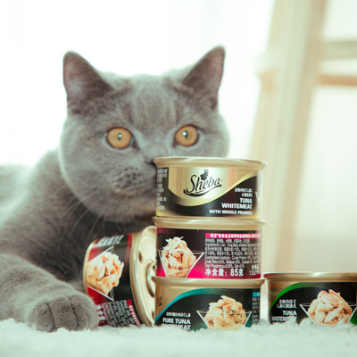 泰国进口sheba希宝猫罐头85g*24罐整箱白肉金罐猫咪湿粮零食包邮