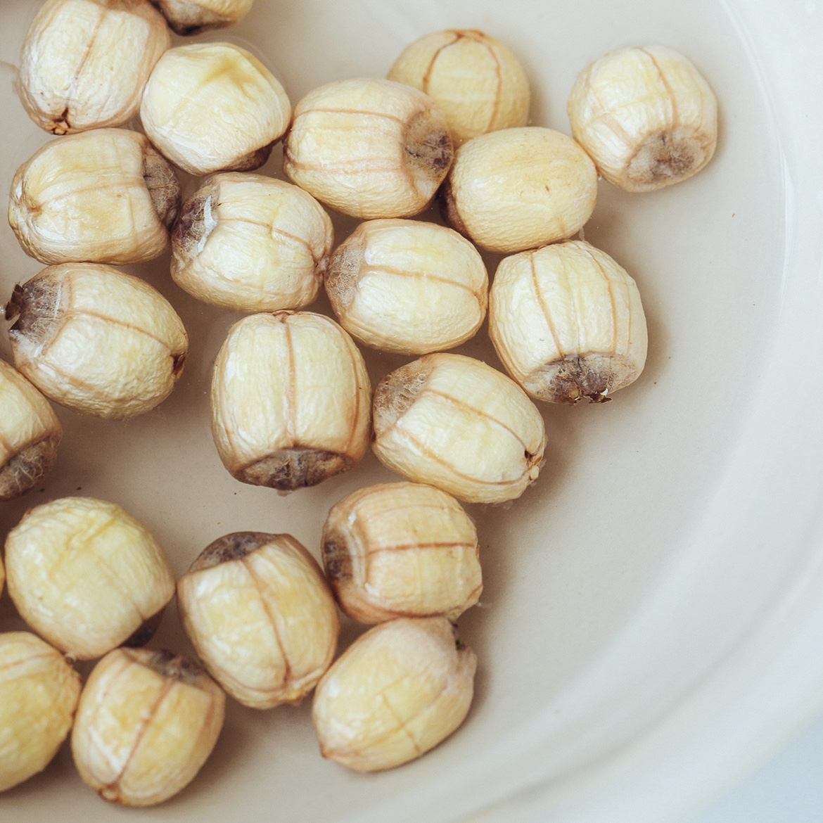 特级浙江省农业部金奖产品带芯硫磺手工莲子干货莲子