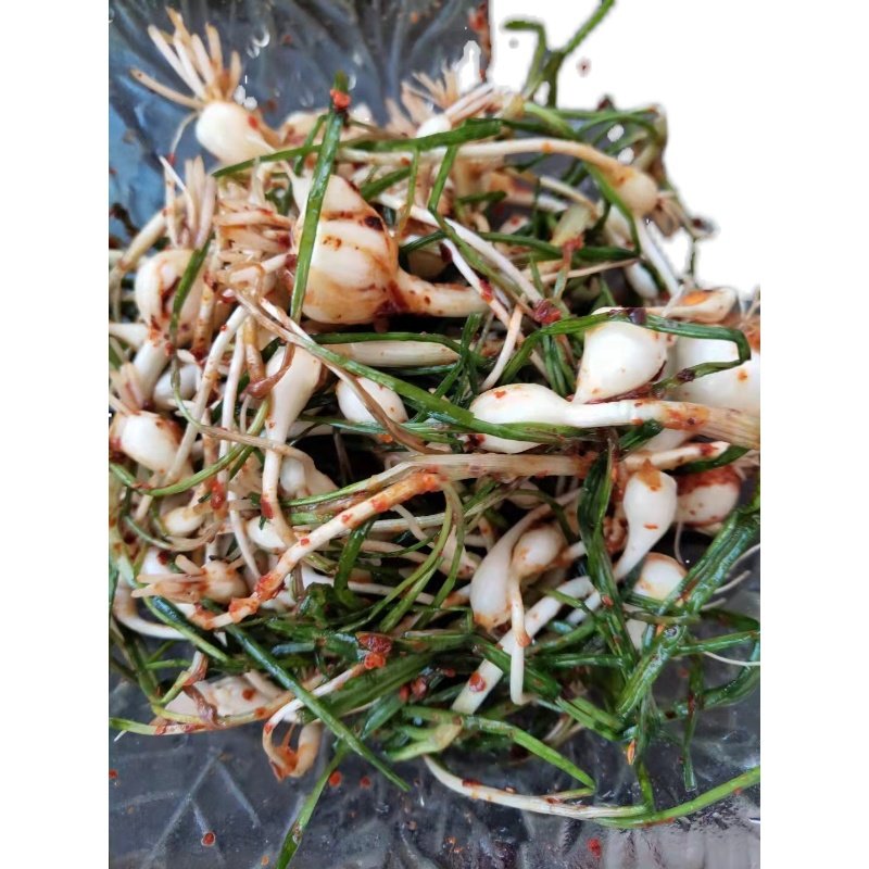 小根东北辽宁新鲜现挖野生山野菜菜大脑瓜嘣蹦其它