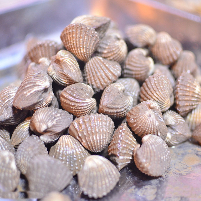 温州海鲜特产小吃乐清海鲜雪蛤花蛤血蚶赤贝酒店鲜活(带泥土)一斤