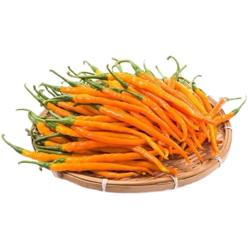 三樟湖南礼品辣椒黄辣椒特产新鲜黄贡椒3斤现发辣椒