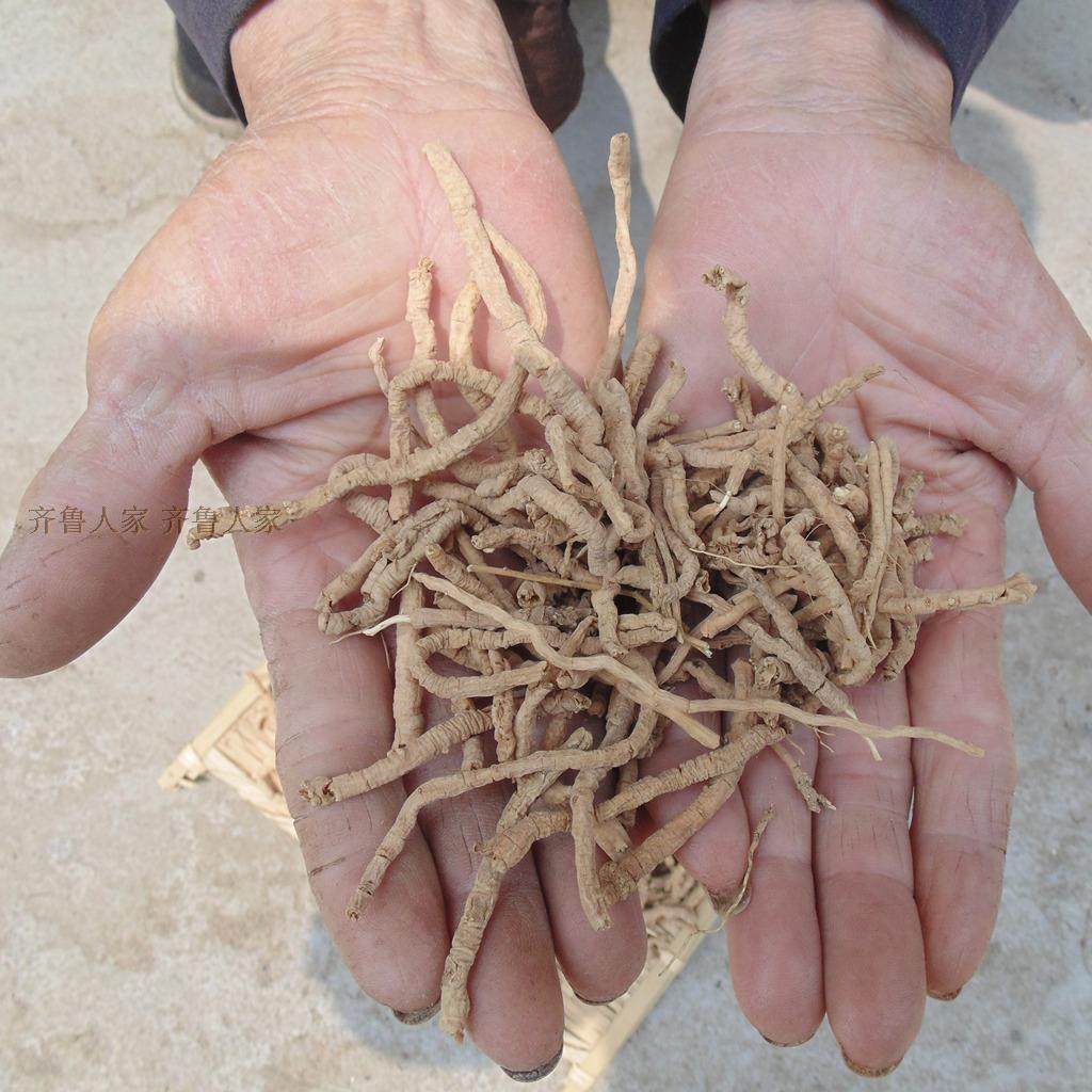 沂蒙山野生远志筒 老货 250克远志肉 远志粉远志丸 抽芯远志筒
