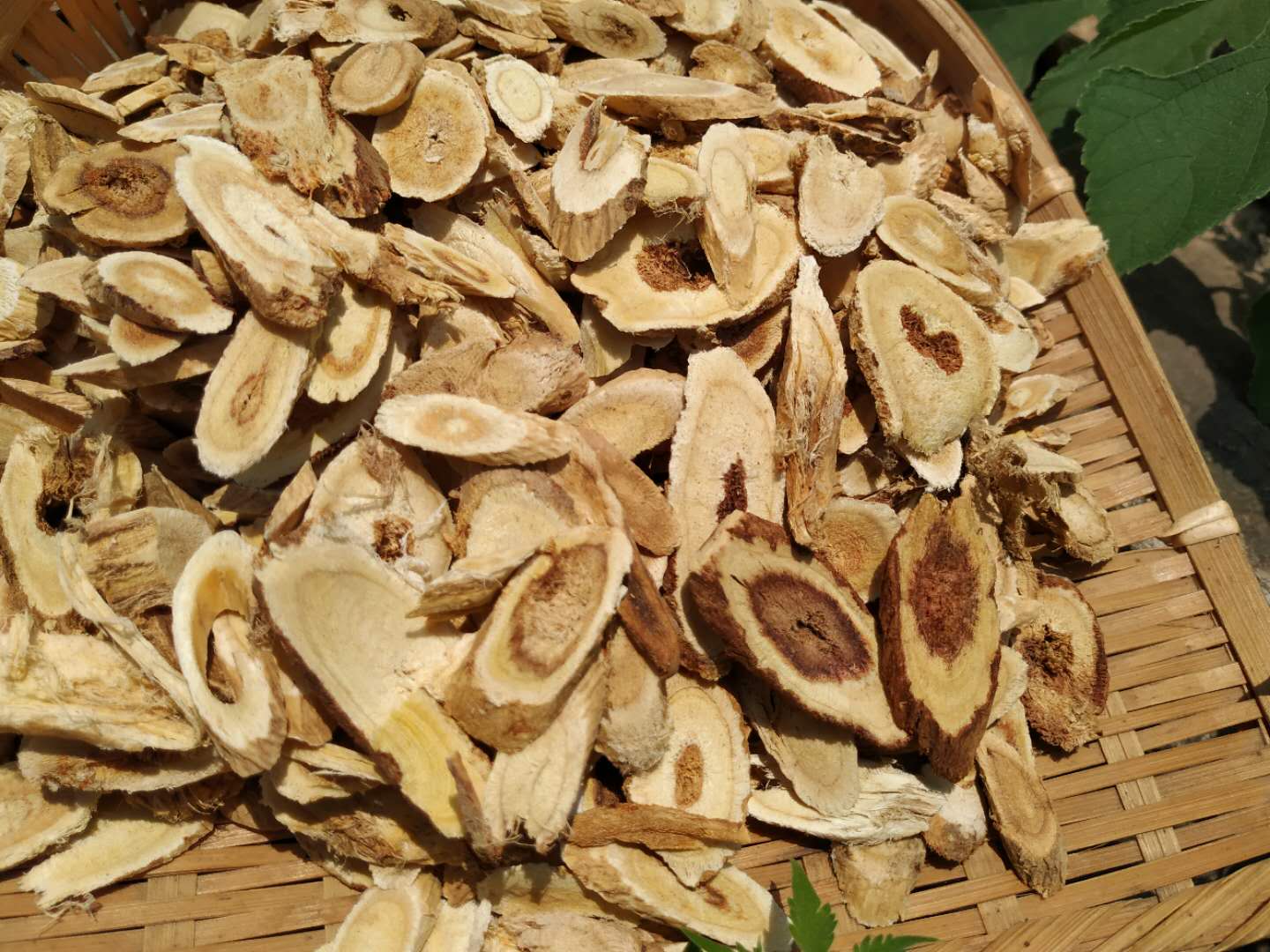 黄芪天然野生500克无硫老龙龙眼正北段根非特级其他药食同源食品