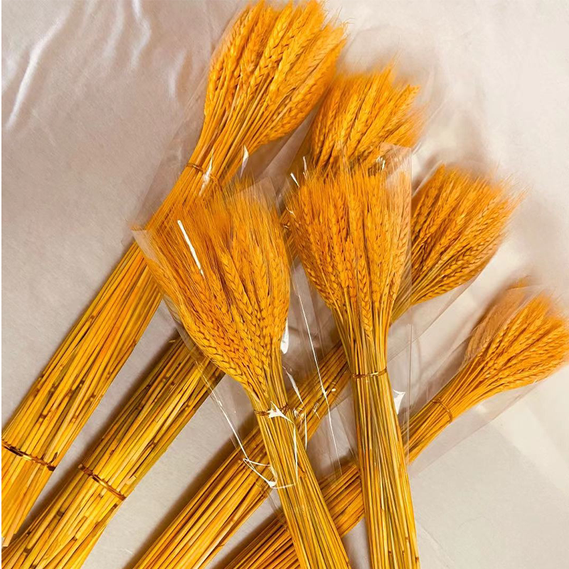 金色麦穗干花天然小麦客厅田园装饰展会摆件仿真花