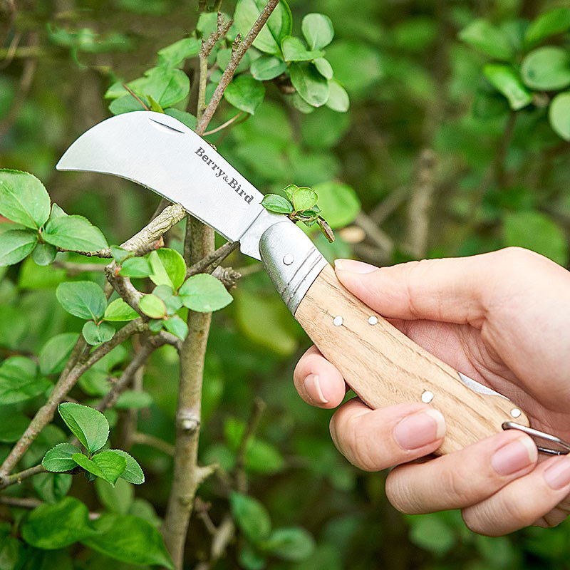 嫁接berrybird欧式树苗花卉不锈钢木柄刀树芽接刀芽接刀