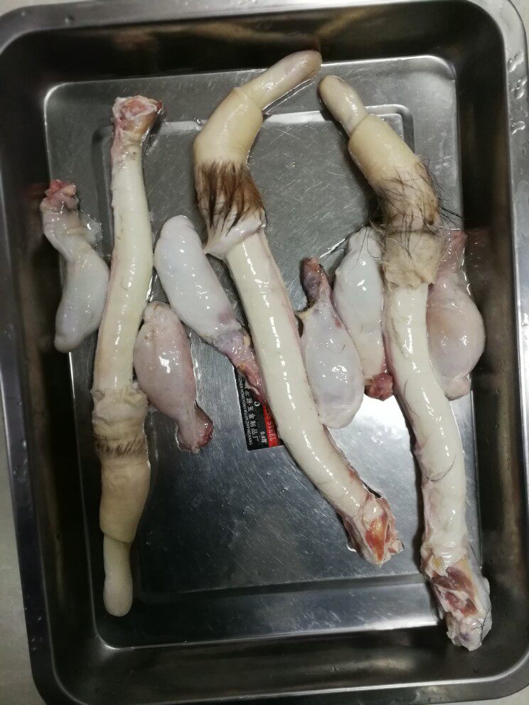 吉林梅花鹿成年壮鹿整枝鲜鹿鞭发情种鹿鞭可切片男泡酒料整枝新鲜