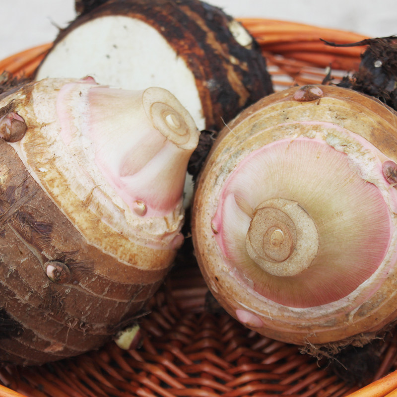 奉化特产宁波芋头新鲜小芋艿头农家10斤原产芋头