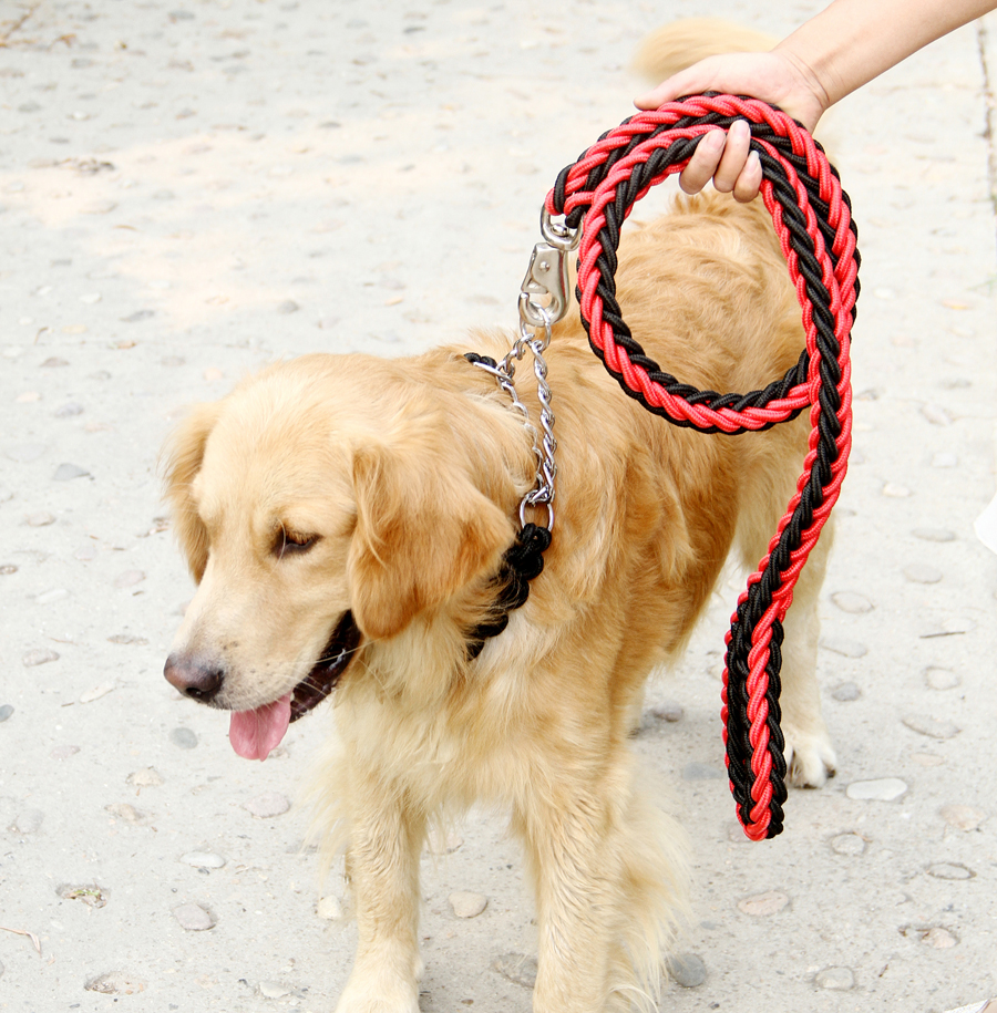狗狗牵引项圈套装中大型犬遛狗绳金毛拉布拉多链子狗牵引绳