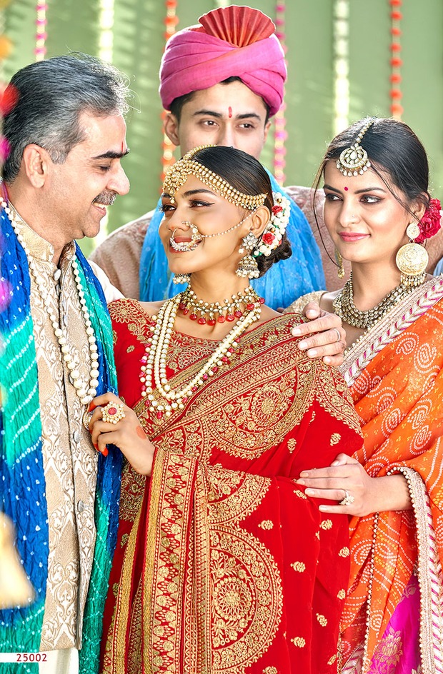 印度纱丽进口民族风女装婚礼敬酒传统服饰刺绣民族服装