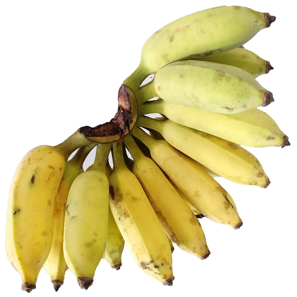 正宗高州精选粉蕉原生态无添加催熟5斤10斤原味香蕉
