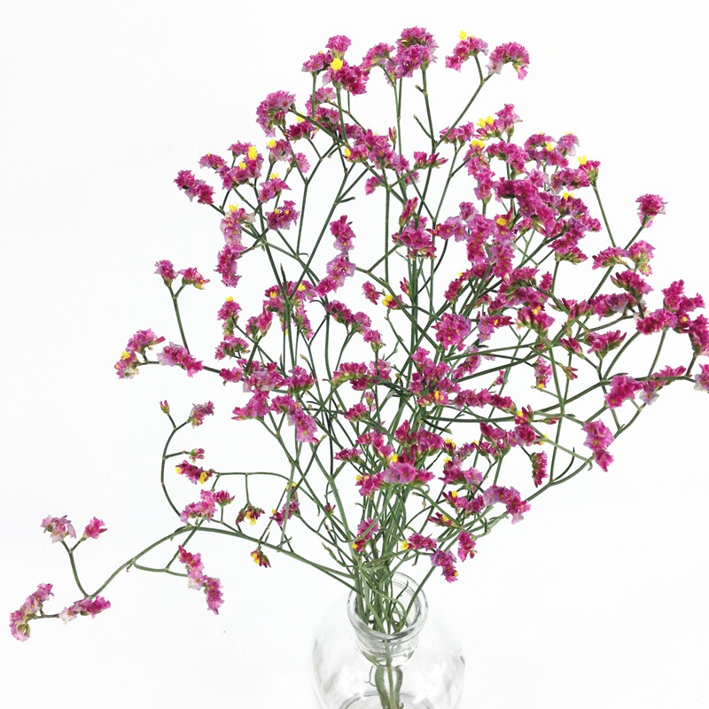勿忘我水晶草情人草干花鲜花混搭四川重庆同城鲜花速递家庭鲜花
