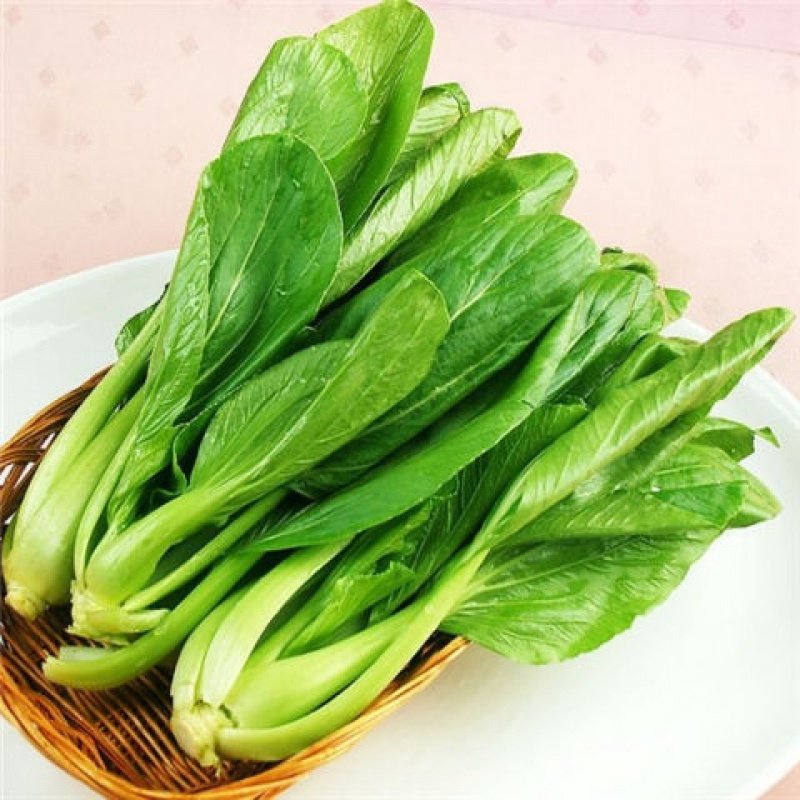 小青鲜嫩四季种菜庭院春夏种植青菜易种植油菜家庭园艺种子