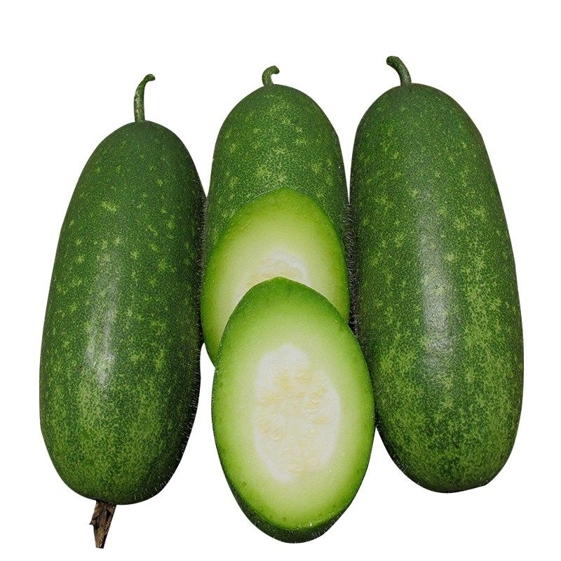 嫩绿小冬瓜早绿小冬瓜种子小节瓜四季种高产冬瓜迷你小冬瓜