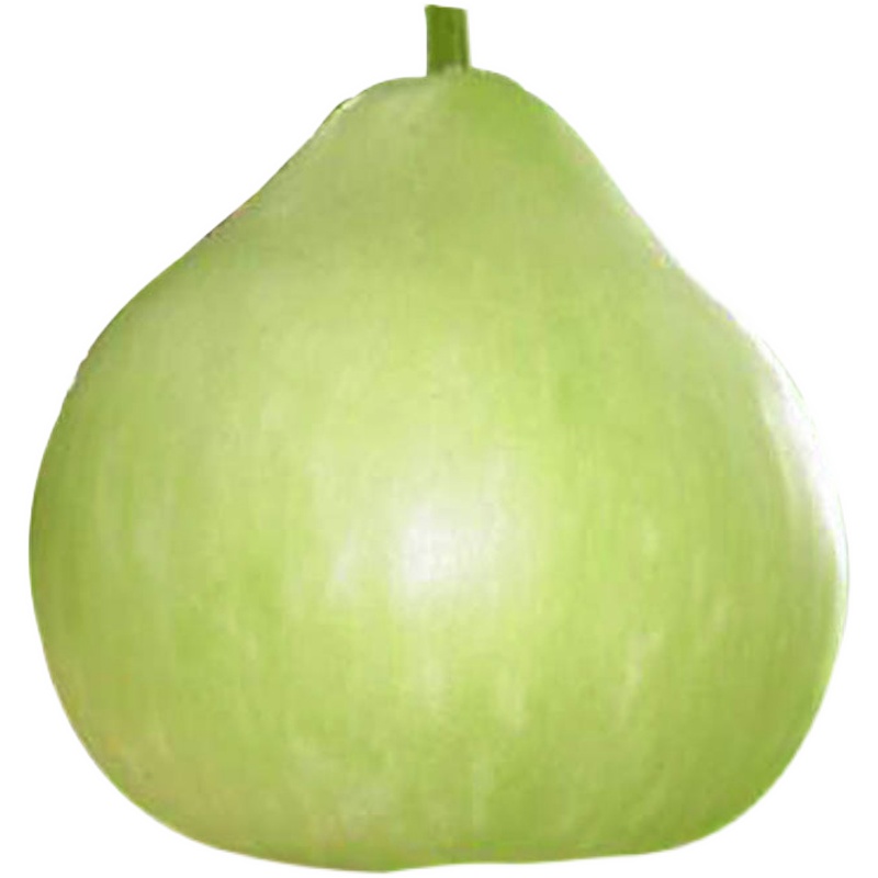 蔬菜菜瓜果农家圆瓢菜葫芦种子圆瓢可做瓠子家庭园艺种子