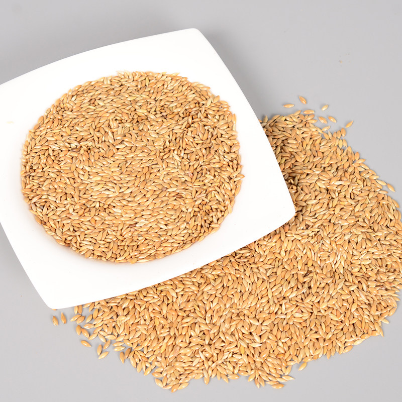 加纳进口鹦鹉鸟食油尖白尖粟草庐籽鸟粮利草籽鸟食