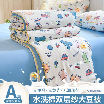 ຜ້າຫົ່ມເຄື່ອງປັບອາກາດ Class A summer cool quilt quilt core children's pure fully washed cotton machine washable soy fiber quilt 2024 new a