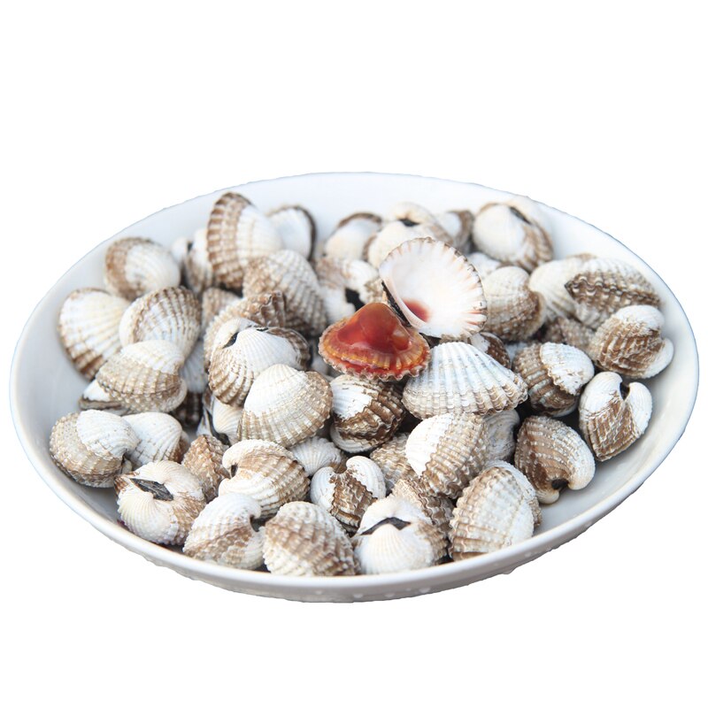 海鲜三门小海血蛤花蛤贝类赤贝鲜活海产品银蚶其它