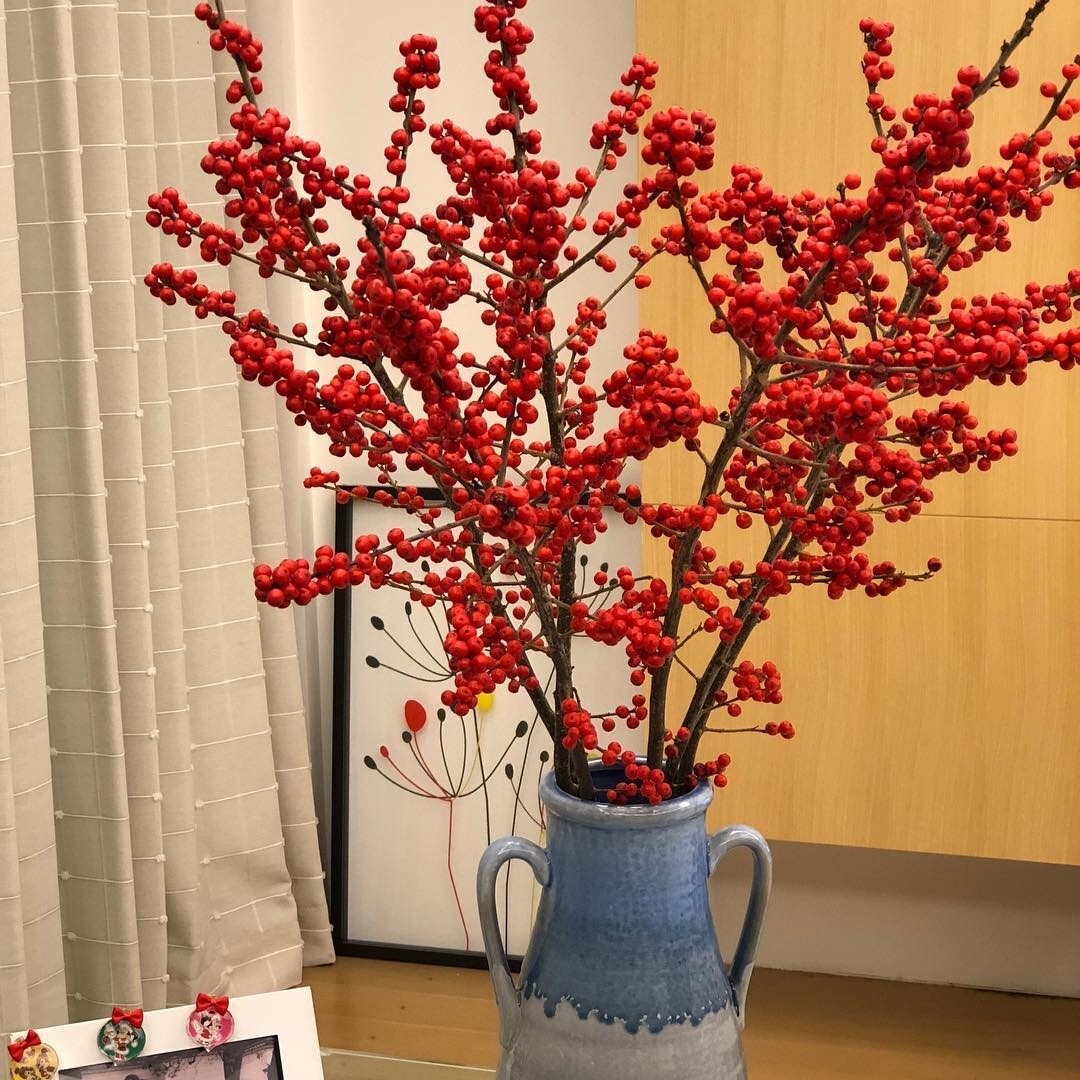 a级北美进口冬青富贵籽红果鲜花年宵花水养节日家庭插花顺丰包邮