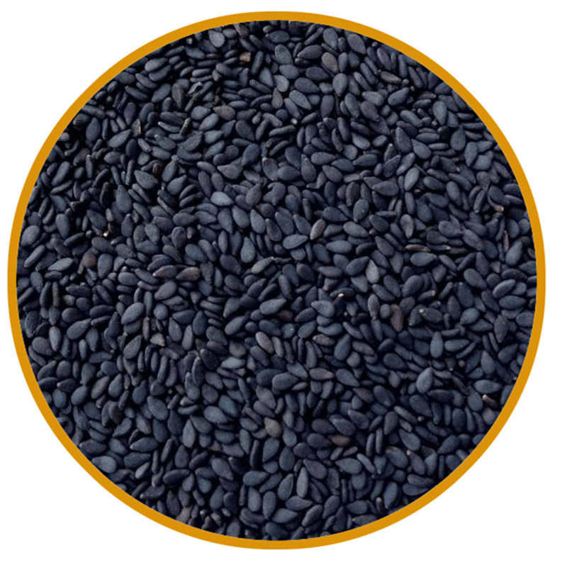 四件包邮农家自产黑芝麻新鲜生芝麻大颗粒饱满免洗500g