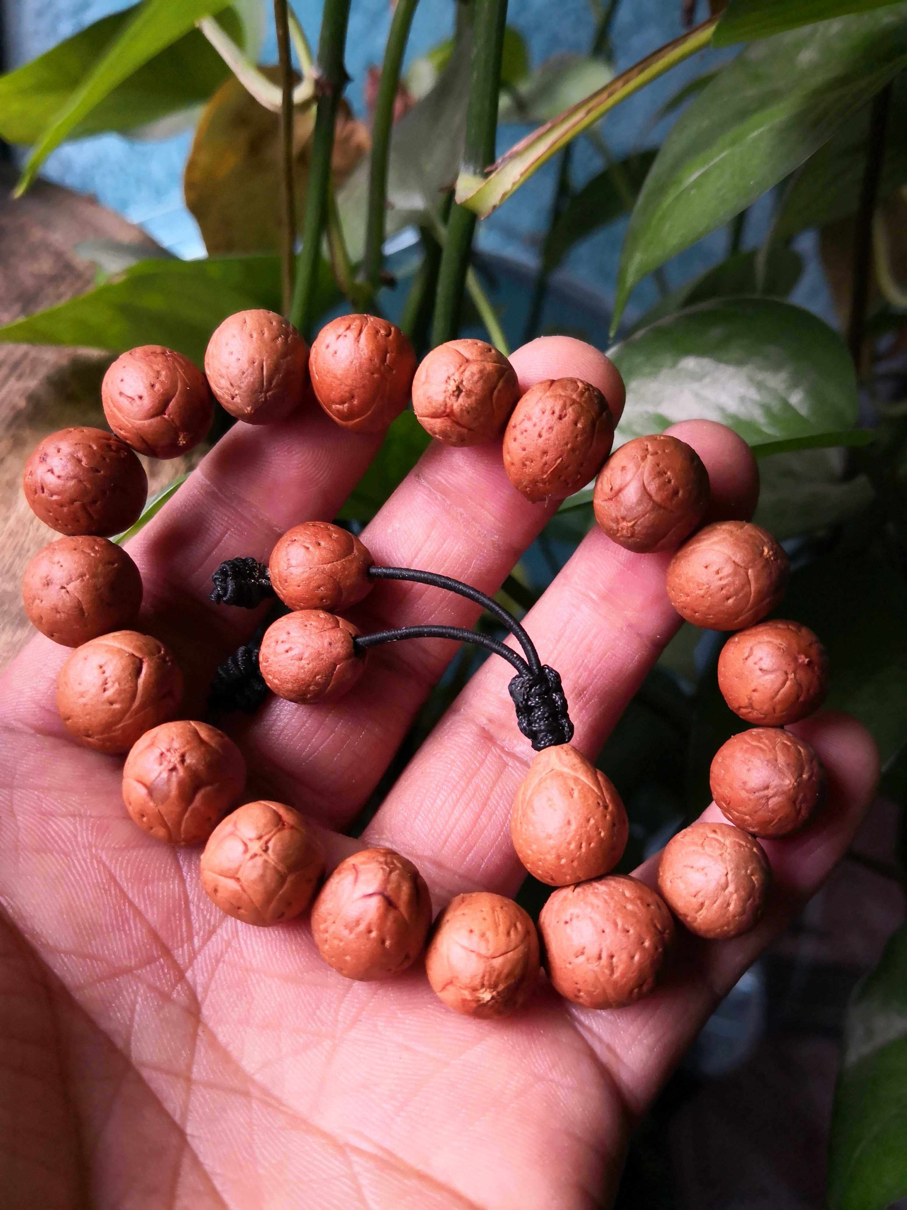 麒麟菩提手串佛珠火麒麟凤眼眼菩提子日进斗金雕刻手串