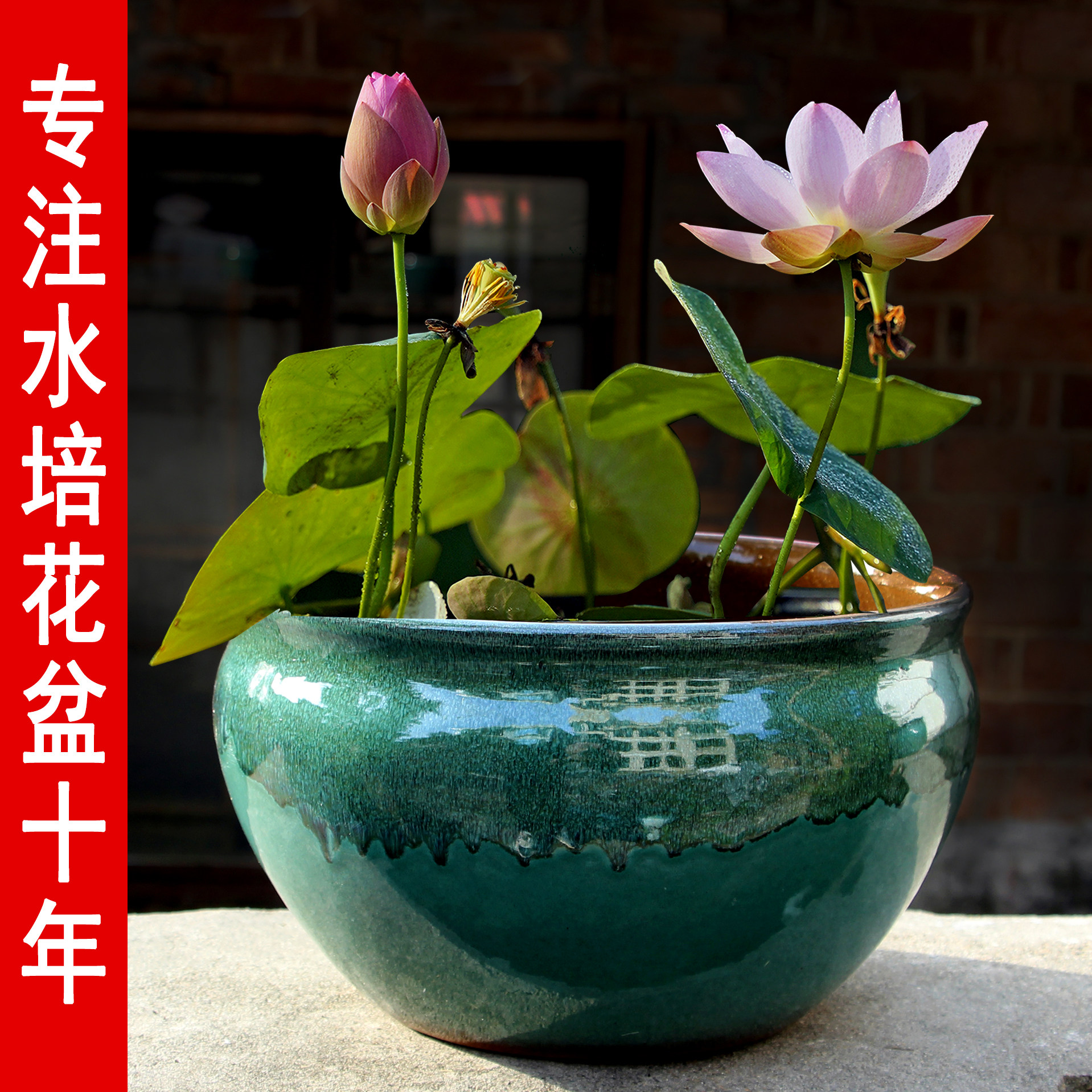 多款碗容器睡莲大号水培花盆莲花水生植物陶瓷花盆