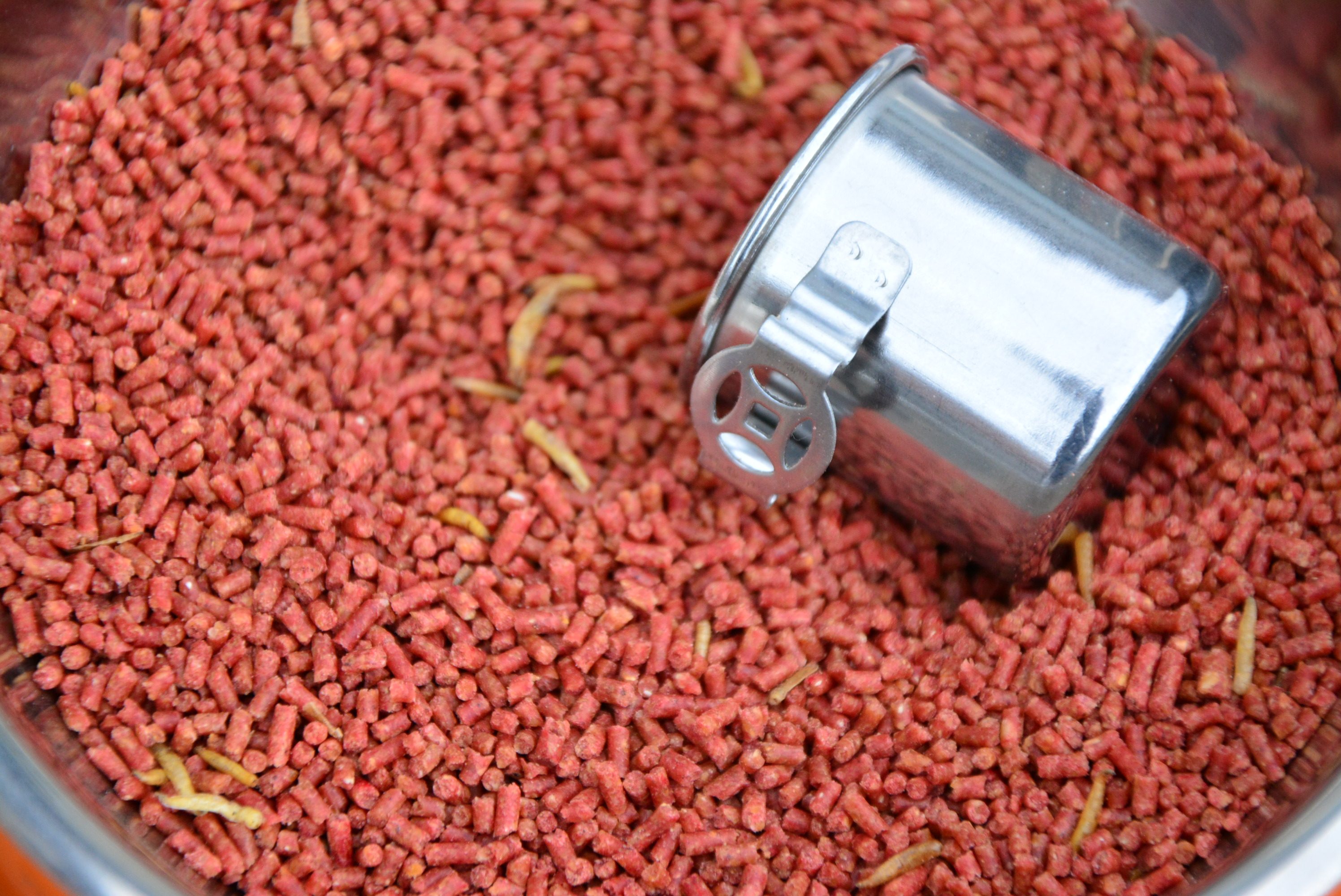 鸟食恒威百灵鸟百灵饲料雀鸟包邮红色颗粒鸟食