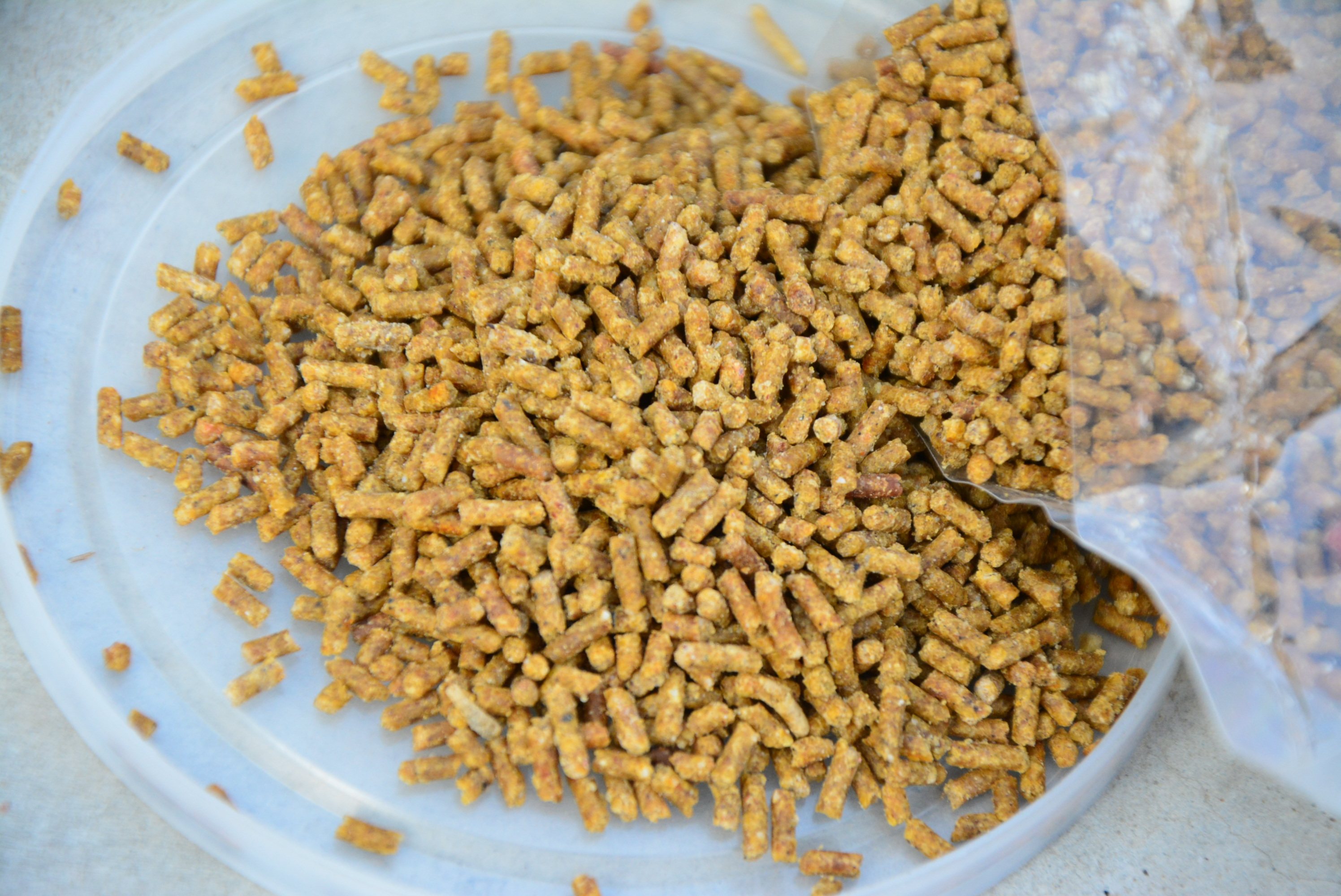 鸟食贵州李氏画眉画眉鸟饲料食料蛋黄500g鸟食