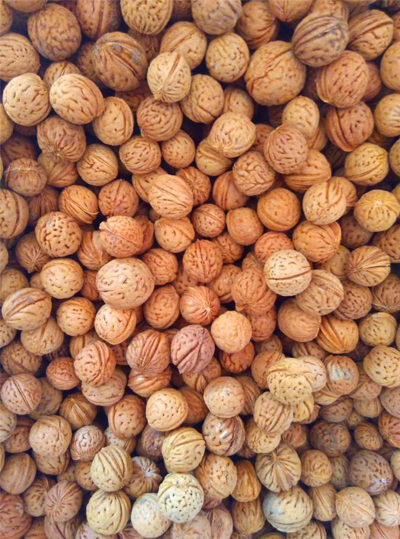 桃核脑纹6元物小填充枕头颈椎1315cm原料野生枕头