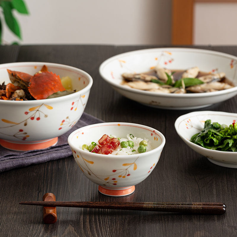 日本进口木之果实陶瓷瓷碗吃饭饭碗家用日式碗