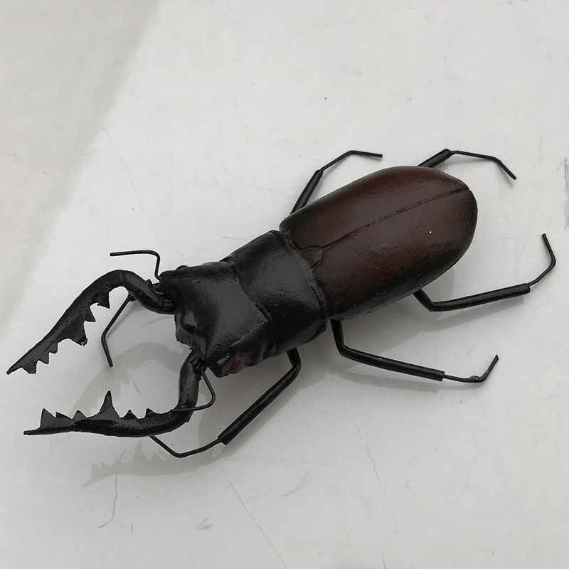 仿真泥塑昆虫模型摆件甲虫儿童益智教学认知冰箱贴纸